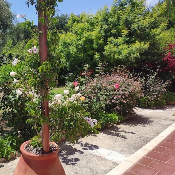 La Casa Di Giada, Appartamento In Villetta Con Aria Condizionata, Wi-Fi E Parcheggio Gratuito Poggi Extérieur photo